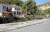 Melnik 